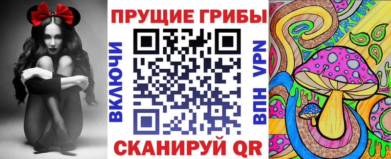 Галлюциногенные грибы Cubensis  KRAKEN маркетплейс  Суоярви 